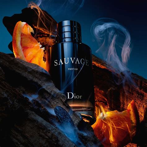 preço sauvage dior|fragrances like Dior Sauvage.